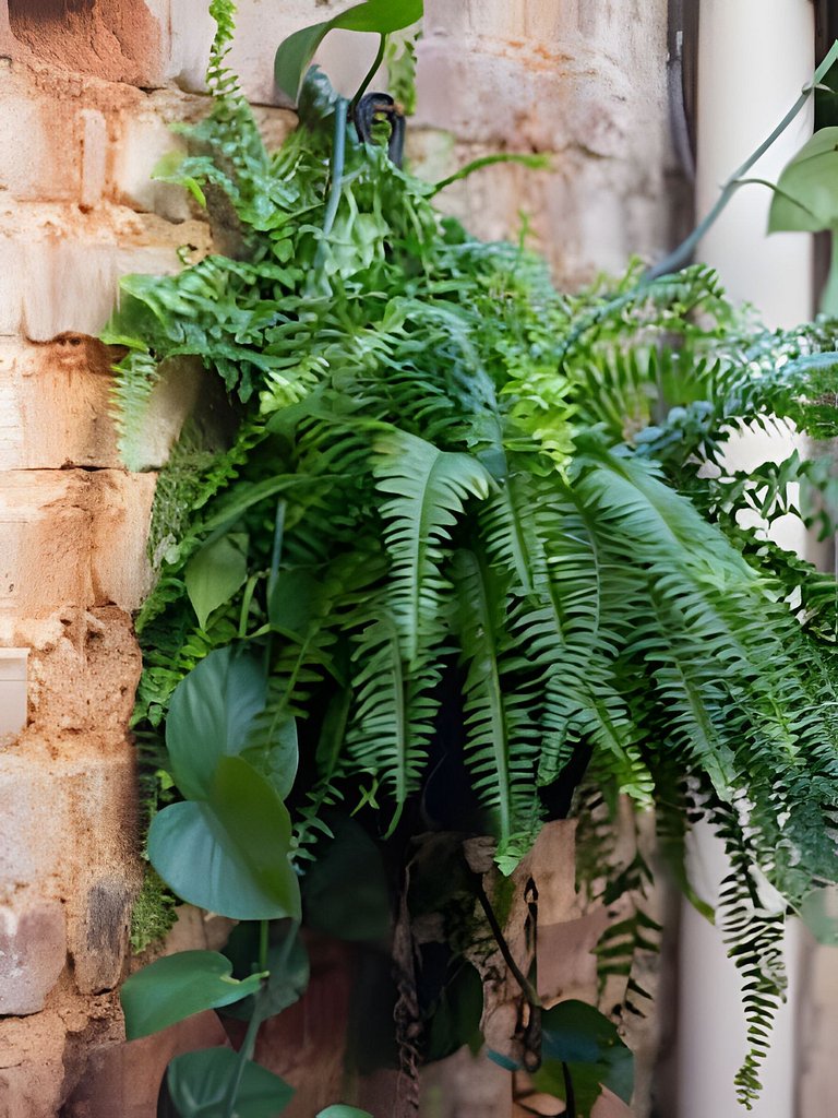 Quarto triplo Salotto Di Anitta - Laguna SC