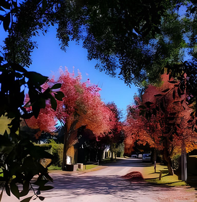 Flat em Bariloche - 2 dormitórios