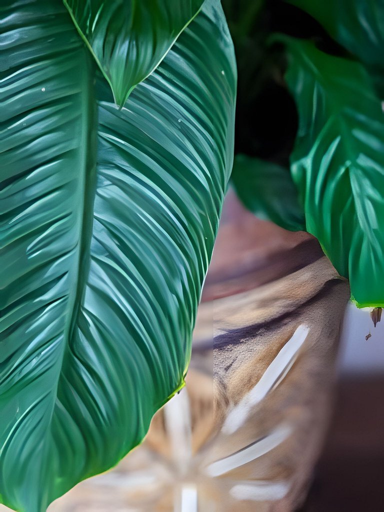 Girassóis de Floripa - piscina e espaço família