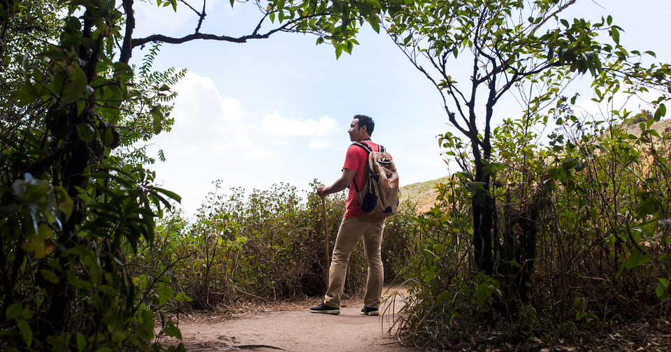 Melhores Trilhas de Florianópolis: Aventuras Naturais no Verão